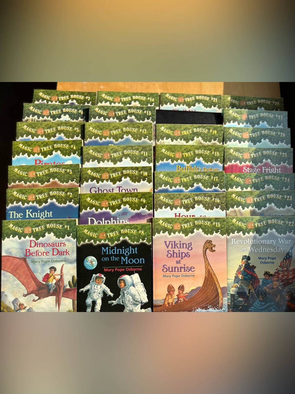 Magic Tree House series -lot of 27 books
